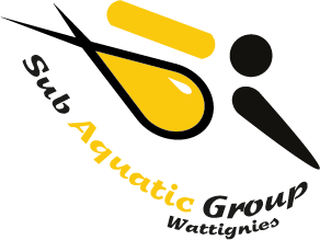 Logo SAGW sans contour